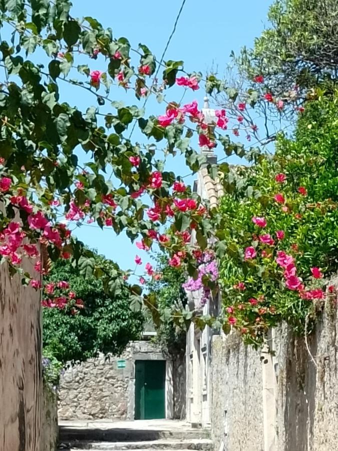 Seaview Dubrovnik Old Townアパートメント エクステリア 写真